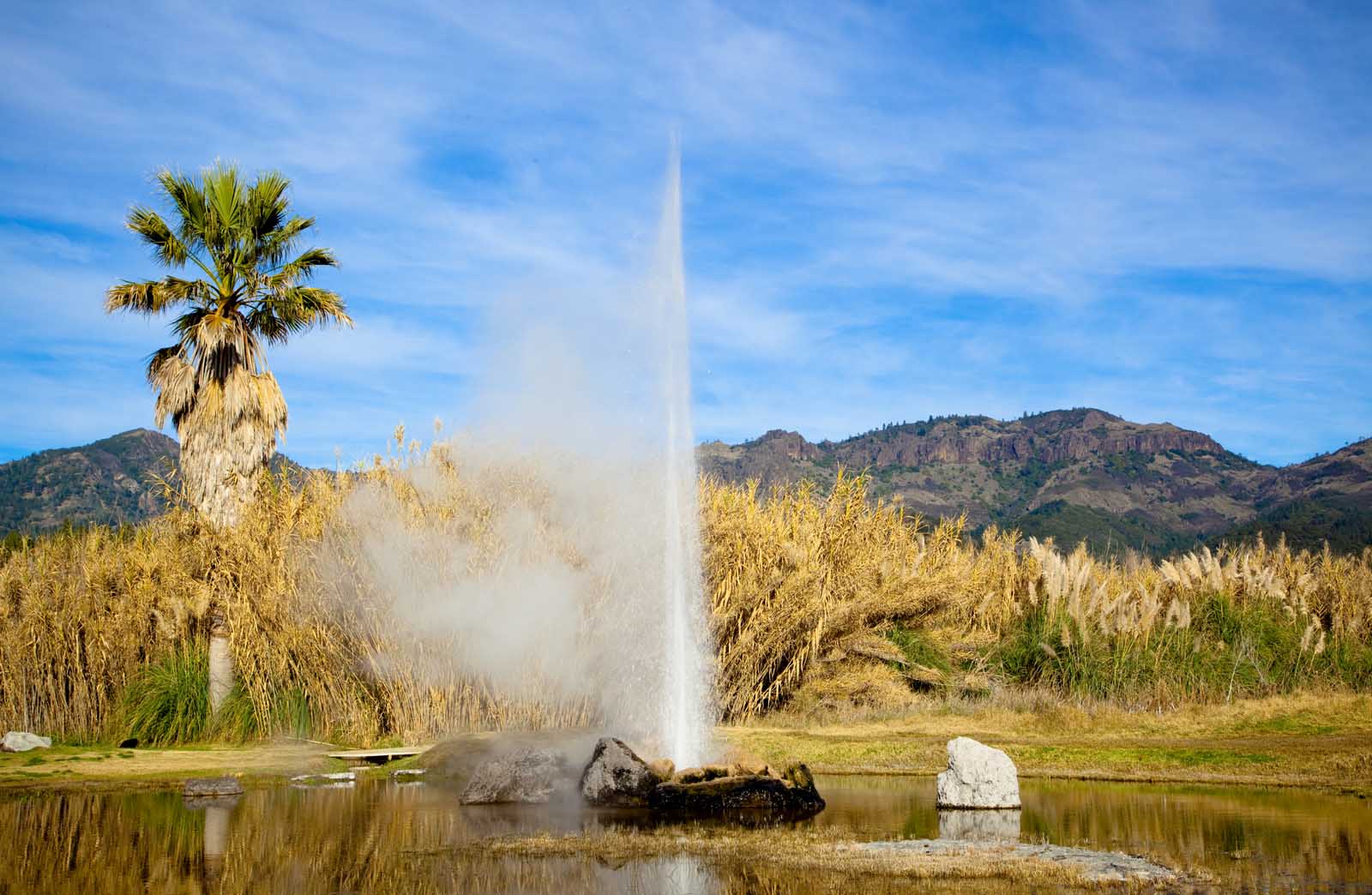 What to do in Napa Valley Old Faithful