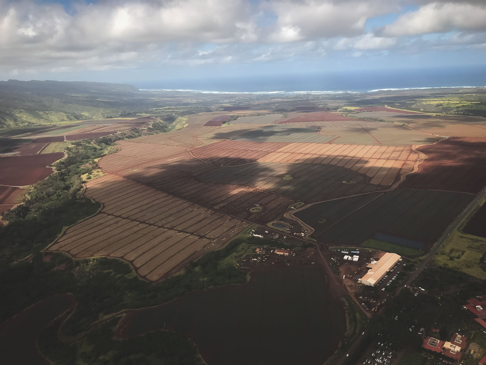 Dole Plantation on Oahu