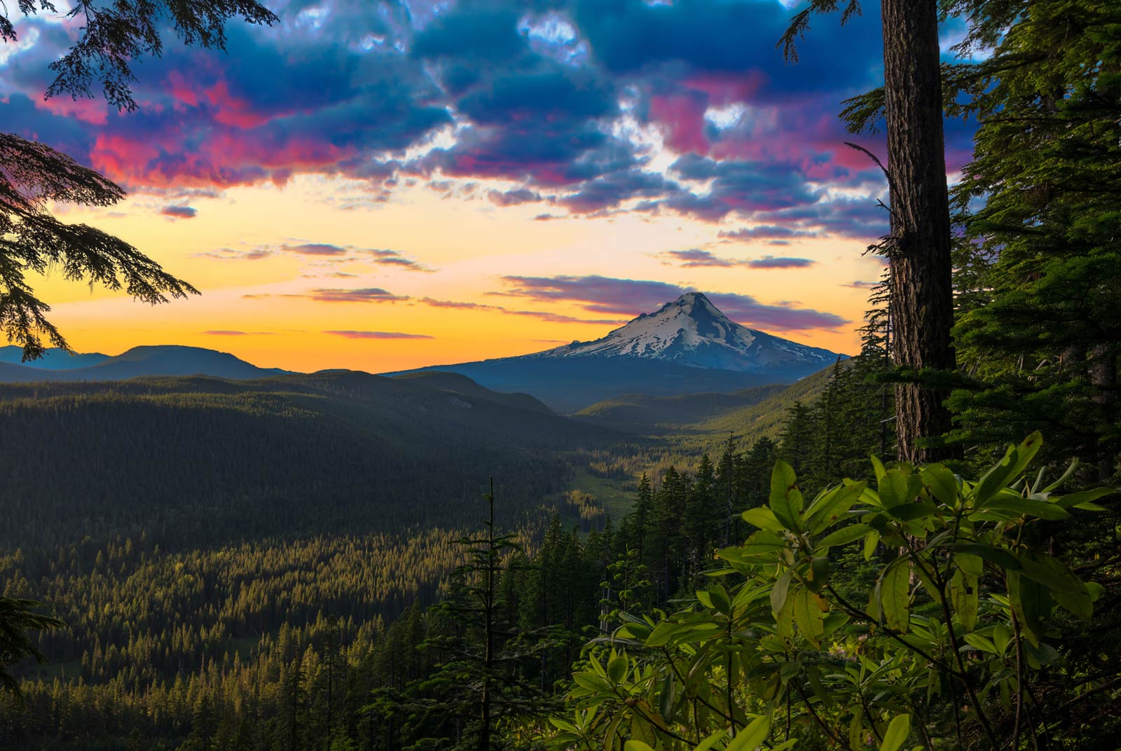 Mount Hood National Forest in Oregon