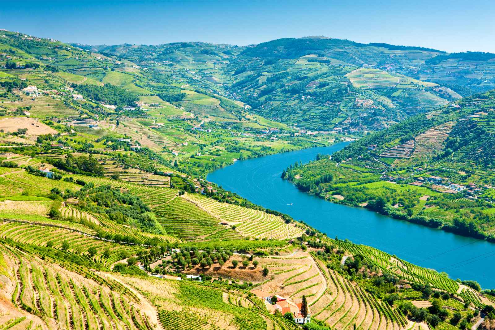 Things to do in Portugal Douro Valley
