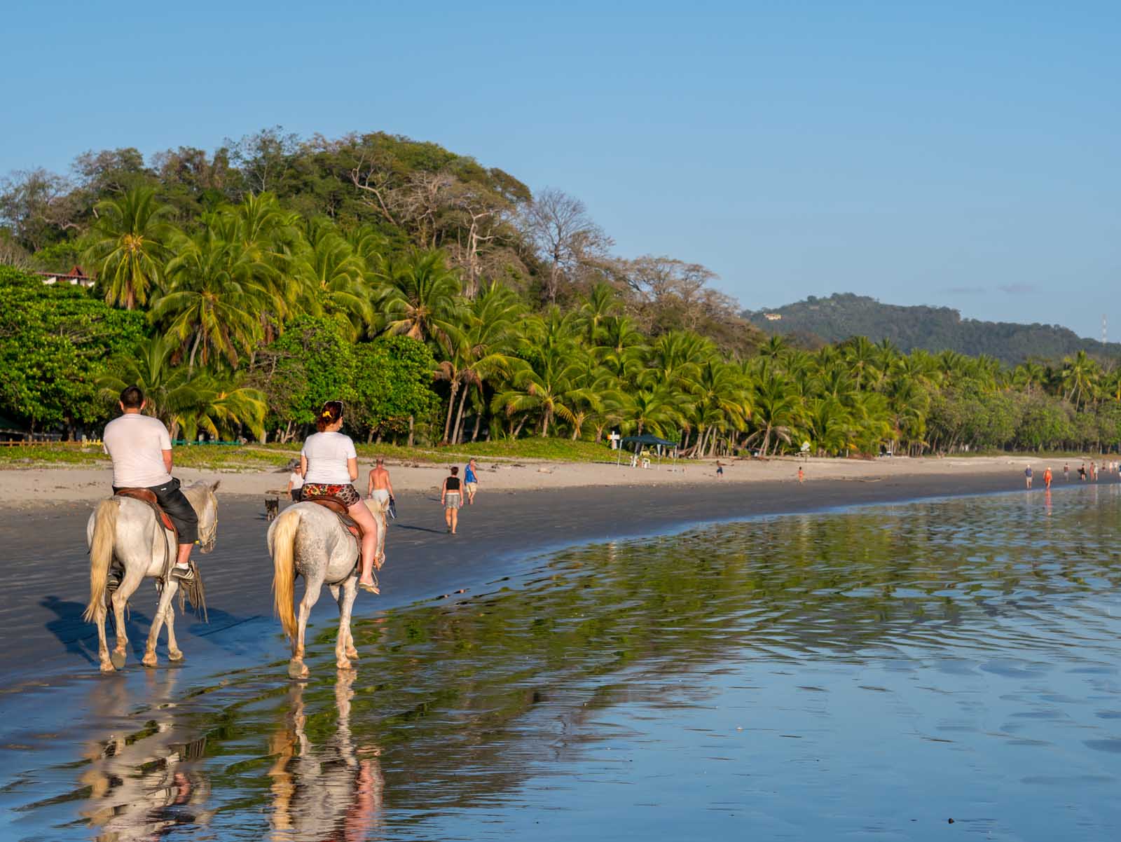 Things to do in Puerto Viejo Costa Rica Horseback Riding