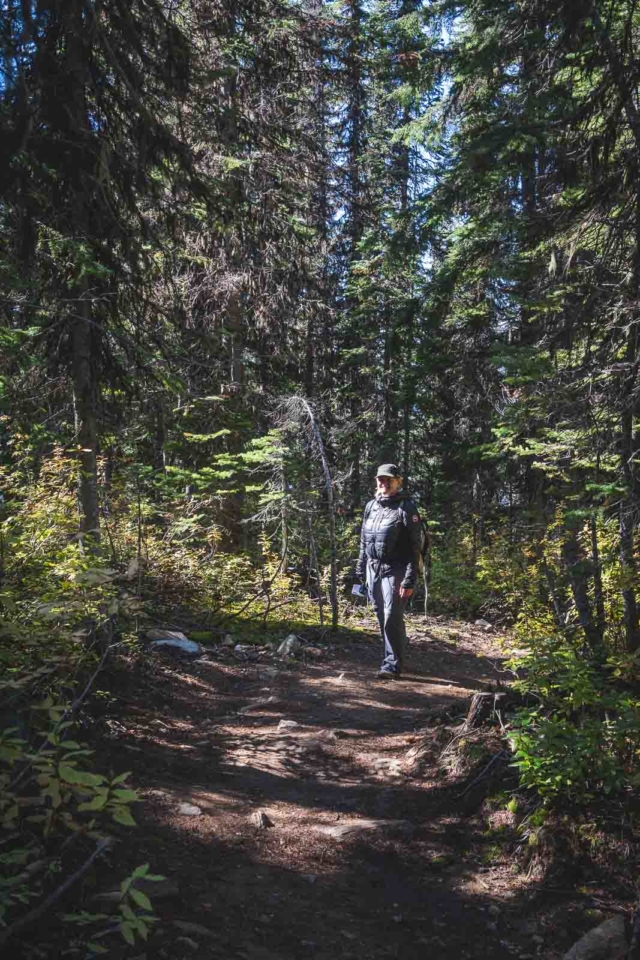 what to do in revelstoke bc hiking
