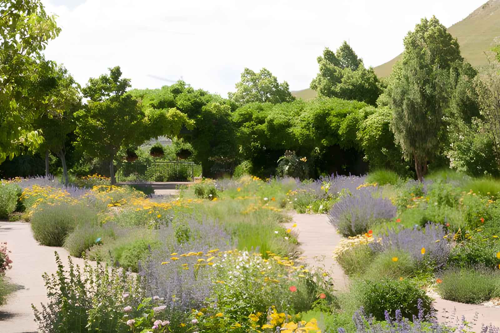 Things to do in Salt Lake City - Red Butte Garden 