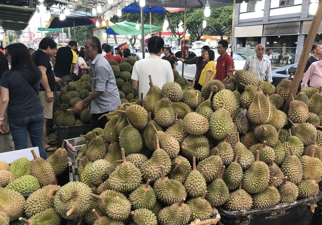 singapore must see markets durian