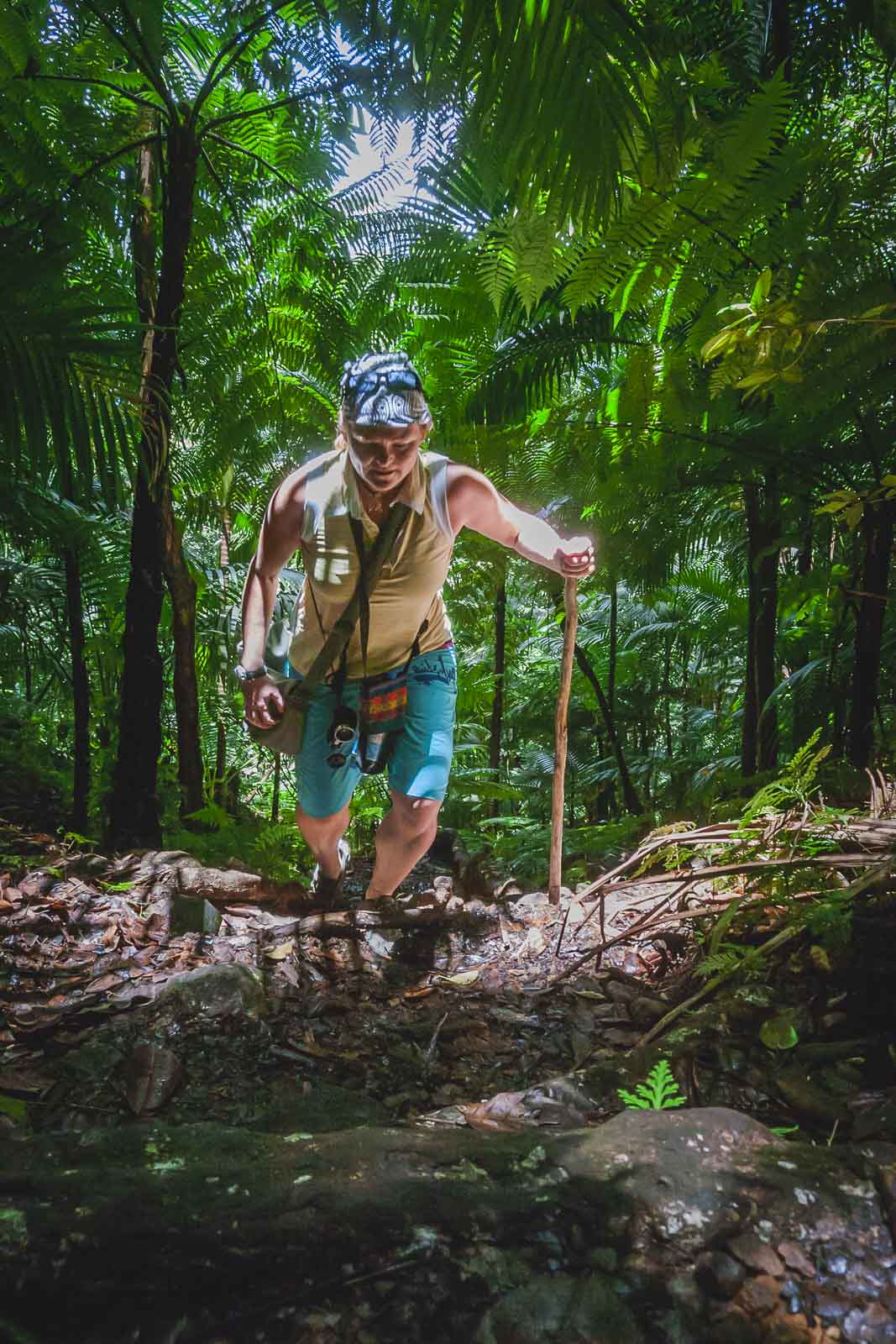 things to do in st kitts hike mount liamuiga