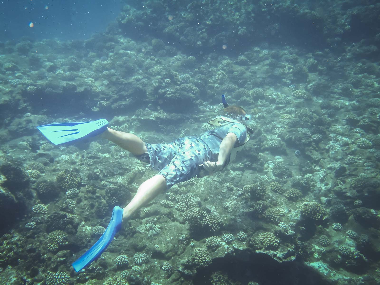 Things to do in Saint Lucia Snorkeling
