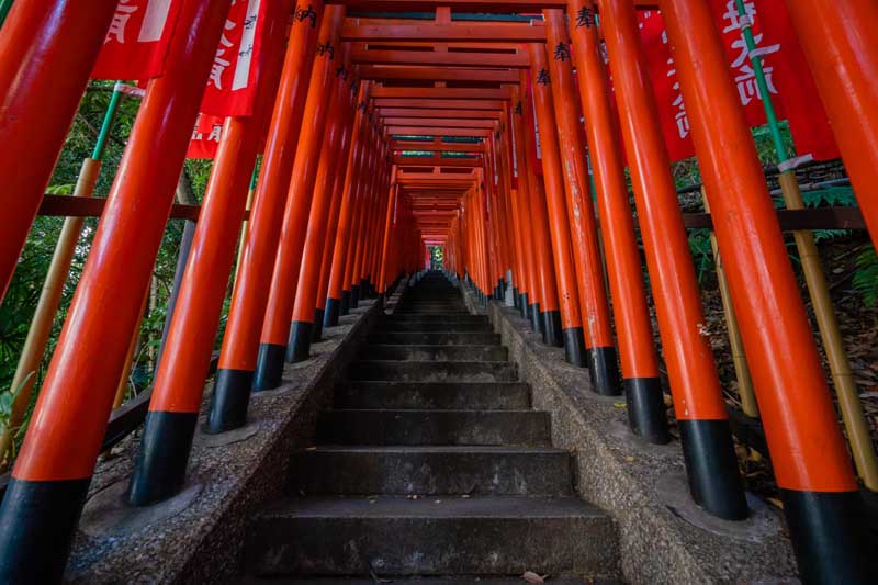 Things to do in Tokyo Japan hie shrine