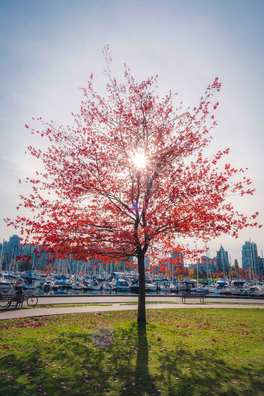 Best Time to visit Vancouver British Columbia