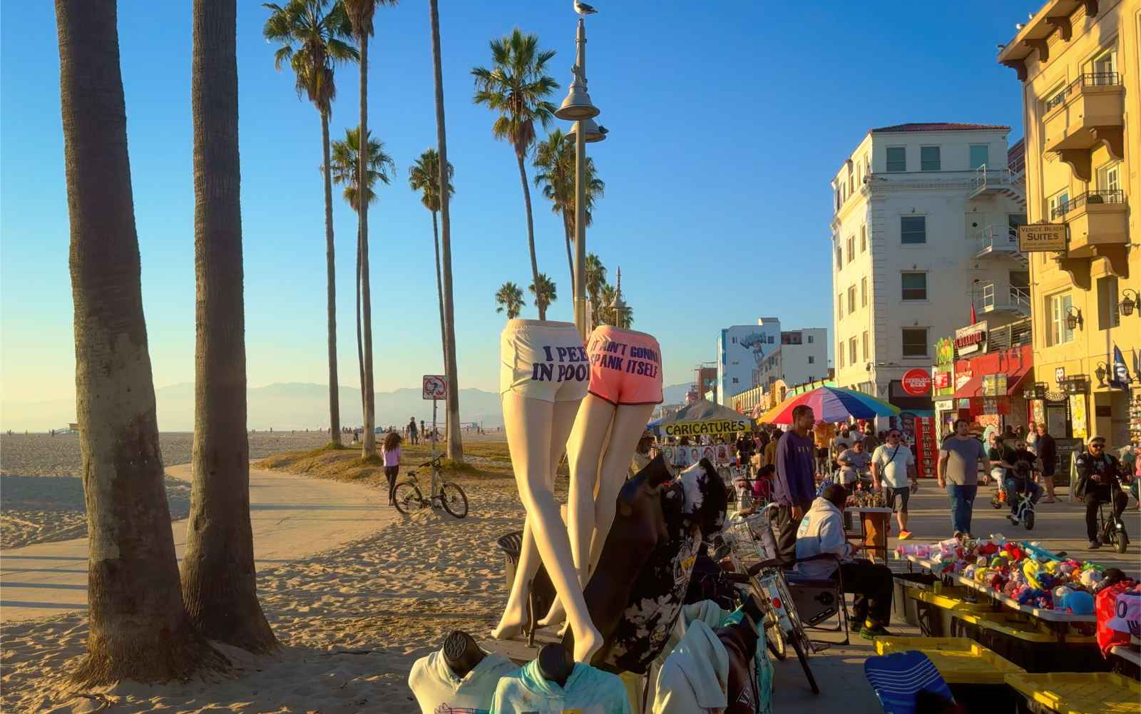 Things to Do in Venice Beach California Tips ad Information Before Visiting