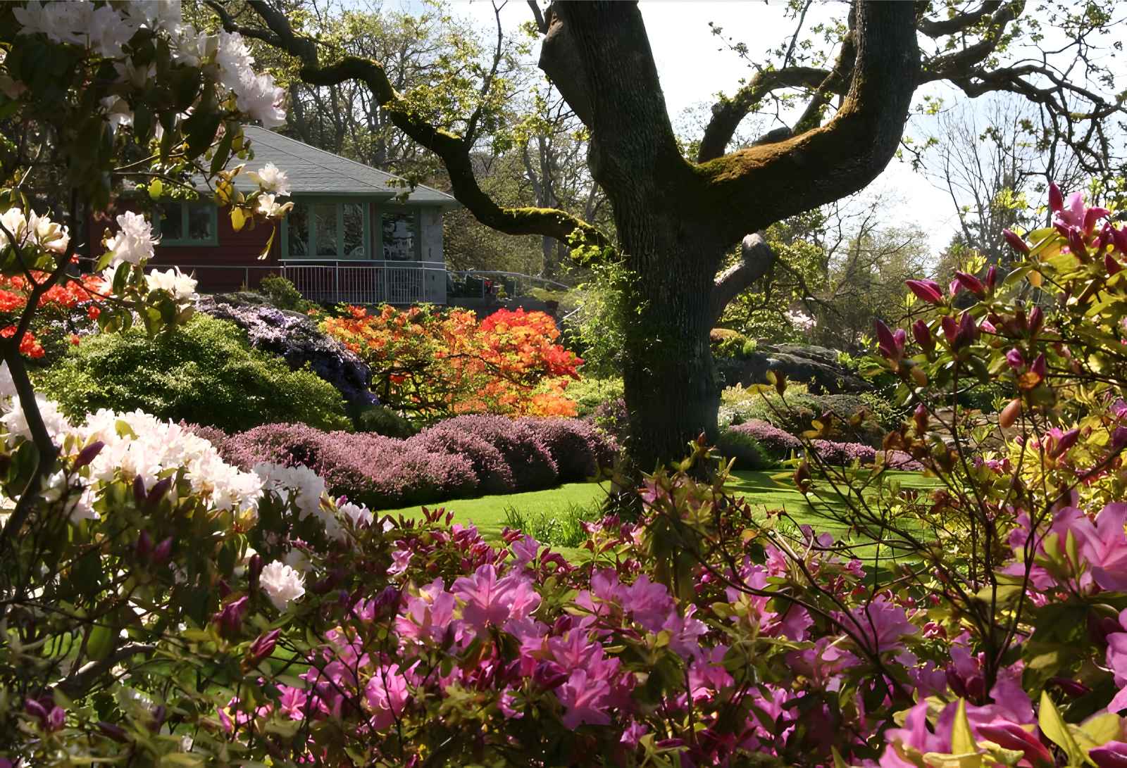 Things to do in Victoria BC Abkhazi Garden