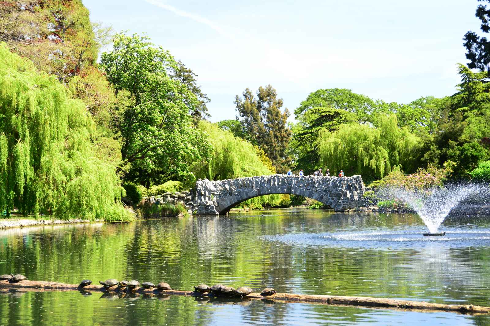 Things to do in Victoria BC Beacon Hill Park