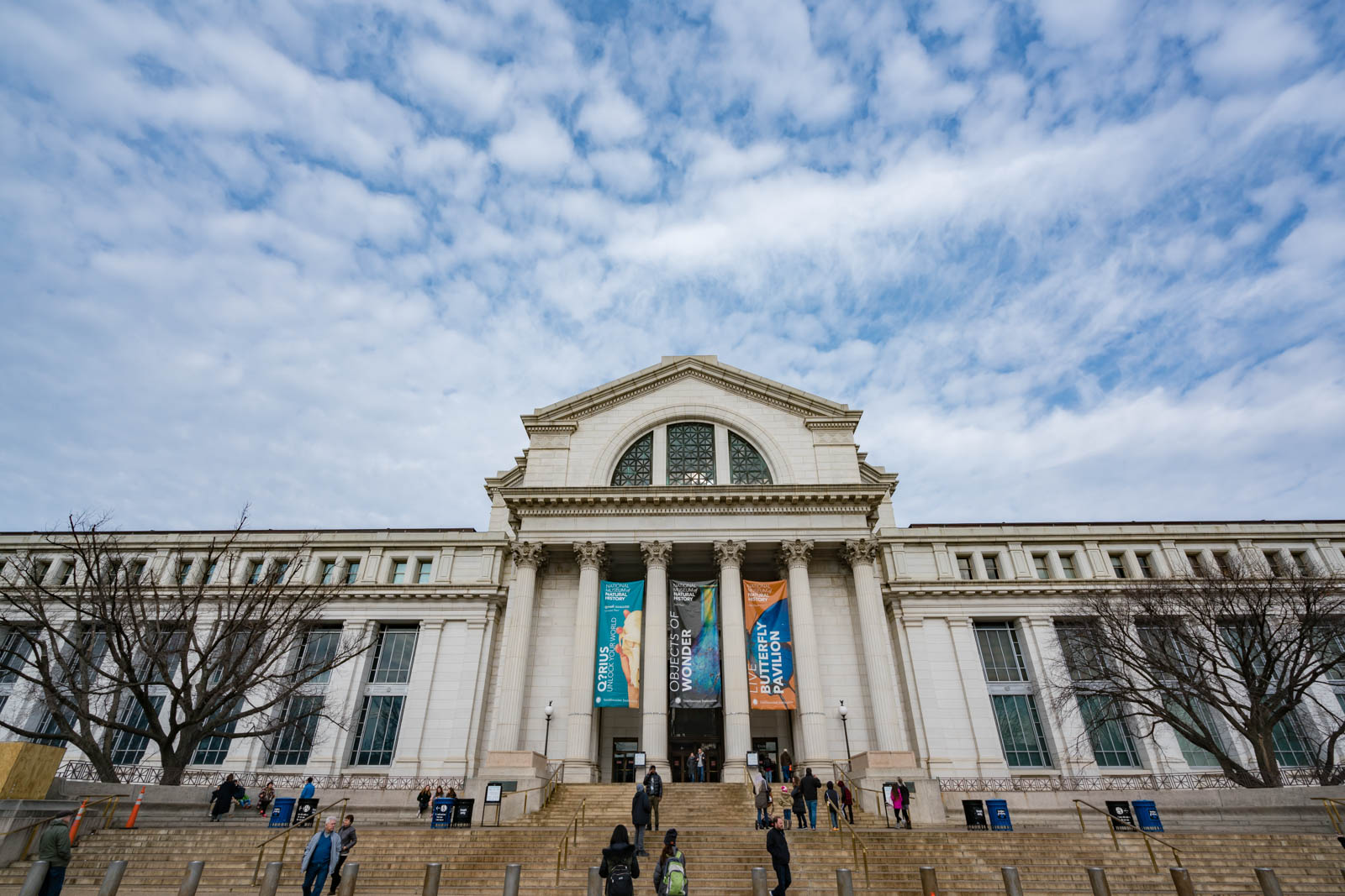 Things to do in Washington DC visit the Smithsonian National Museum of Natural History