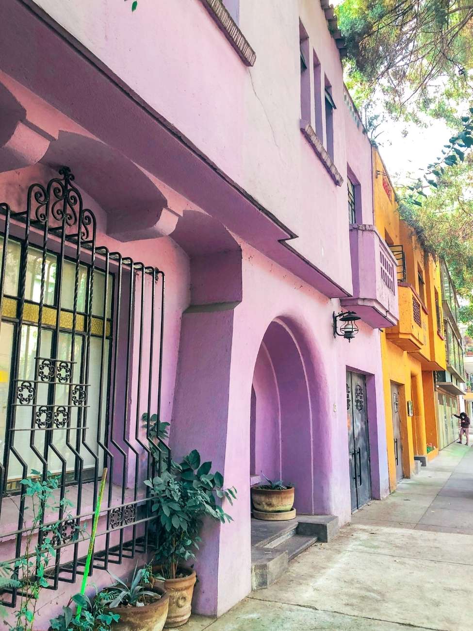 10 Best Things to do in Mexico City for an Epic Trip