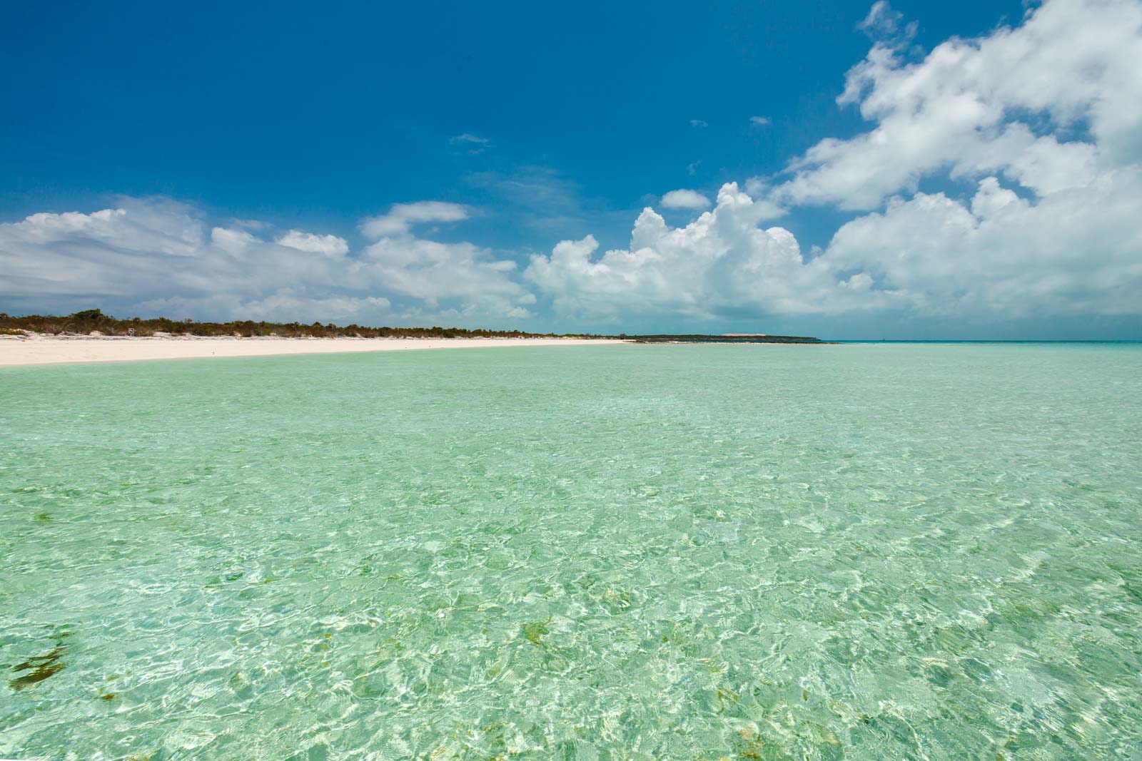 things to do in the bahamas beaches