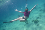 31 Best Things to Do In The Bahamas - The Planet D