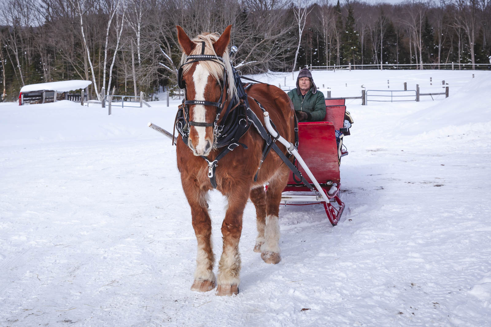 romantic getaways in ontario deerhurst