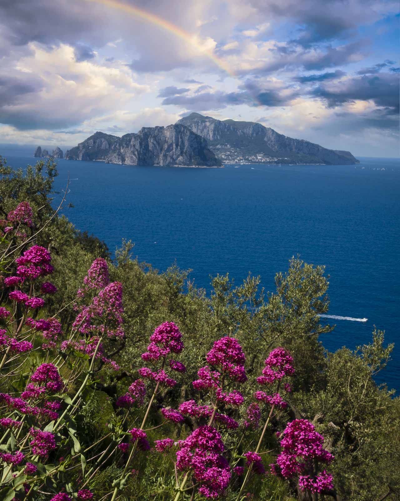 Visit the island of Capri from the Amalfi Coast