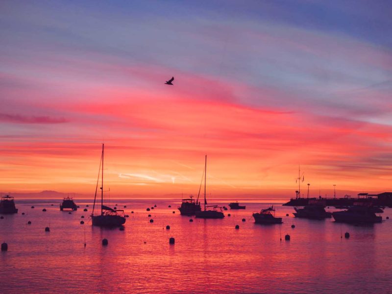 Catalina Island, California – I chickened out; But somehow got rewarded