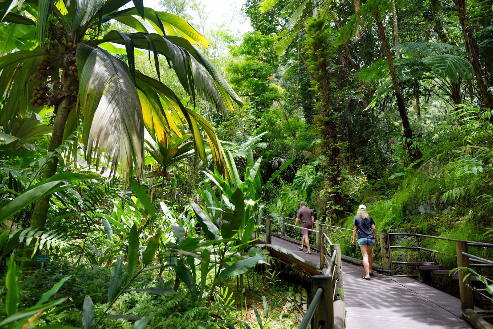 Big Island of Hawaii Things to do Botanical Gardens