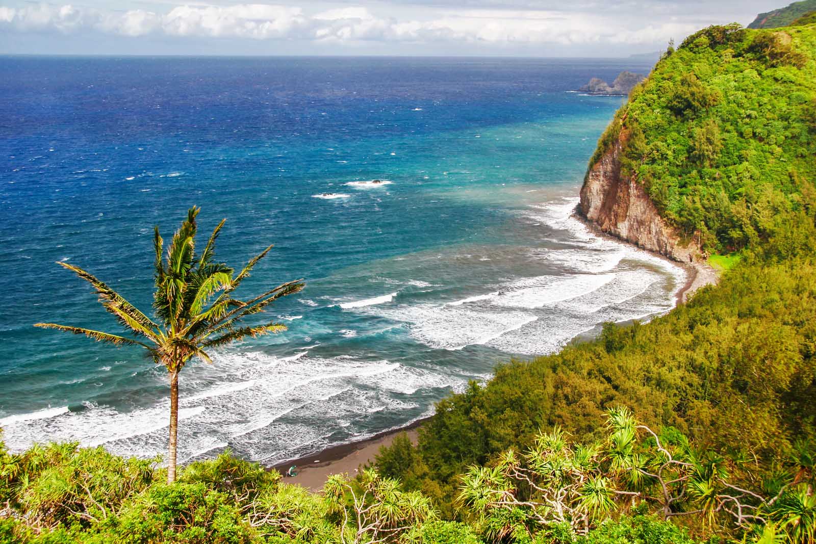 Best things to do on the Big Island Drive Hamakua Coast