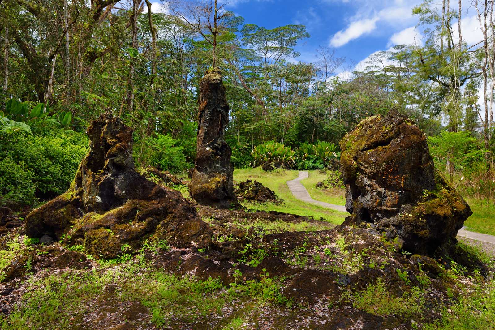 Cool things to do on the Big Island of Hawaii Lava Trees State Park