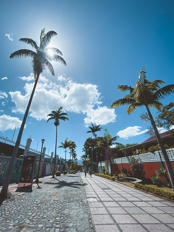 Things-to-do-san-jose-costa-rica-California-Boulevard Things-to-do-san-jose-costa-rica-California-Boulevard Калифорнийский бульвар в Сан-Хосе, Коста-Рика Сан-Хосе, Коста-Рика Сан-Хосе, Коста-Рика Things to do san jose costa rica California Boulevard