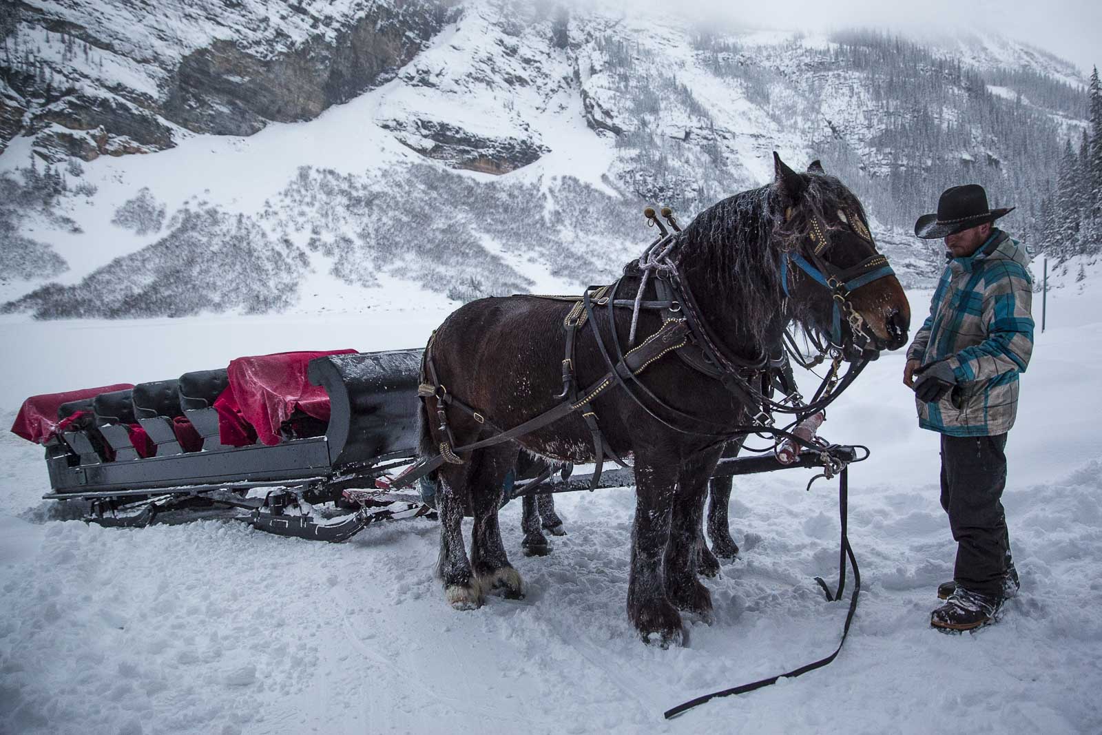 Take a Sleigh Ride In winter Canada