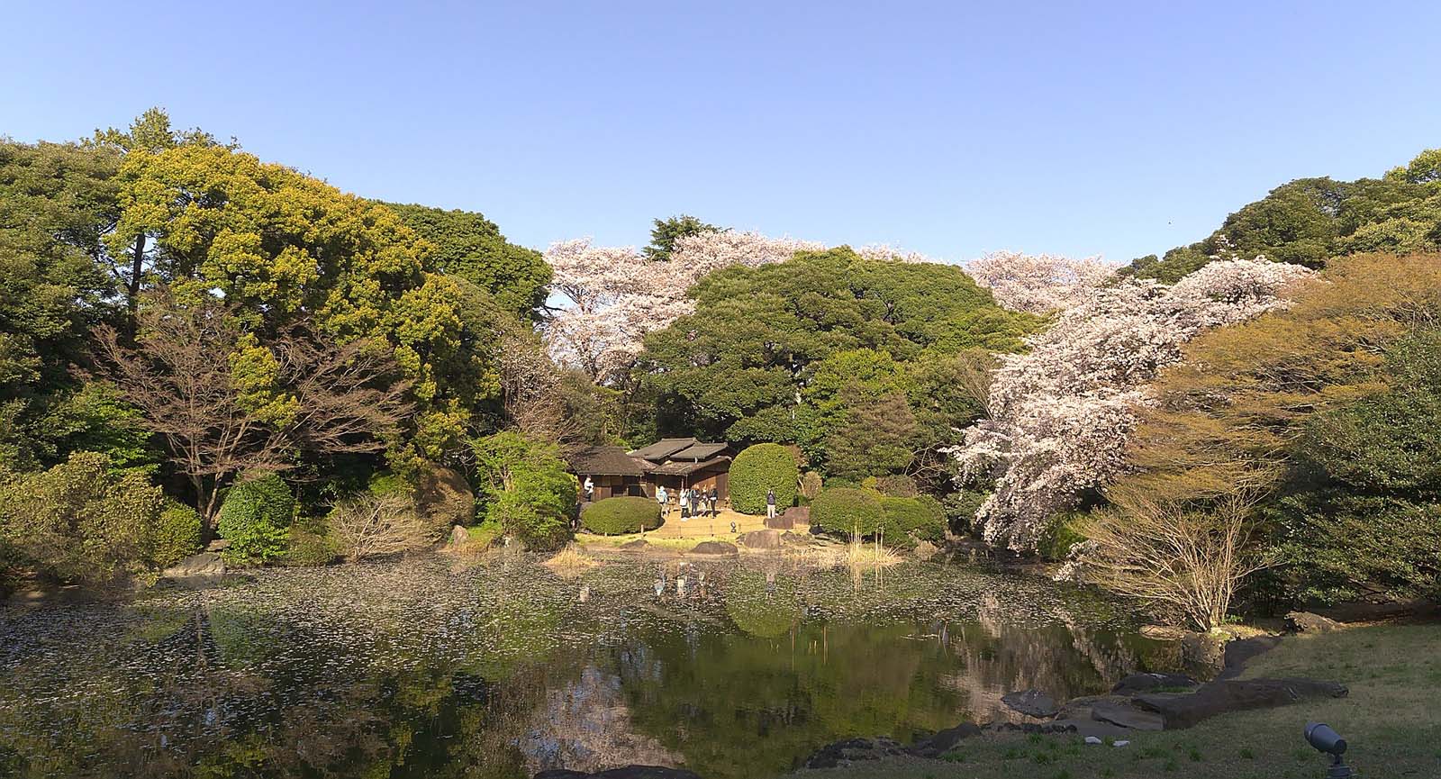 places to visit in tokyo shinjuko gyoen