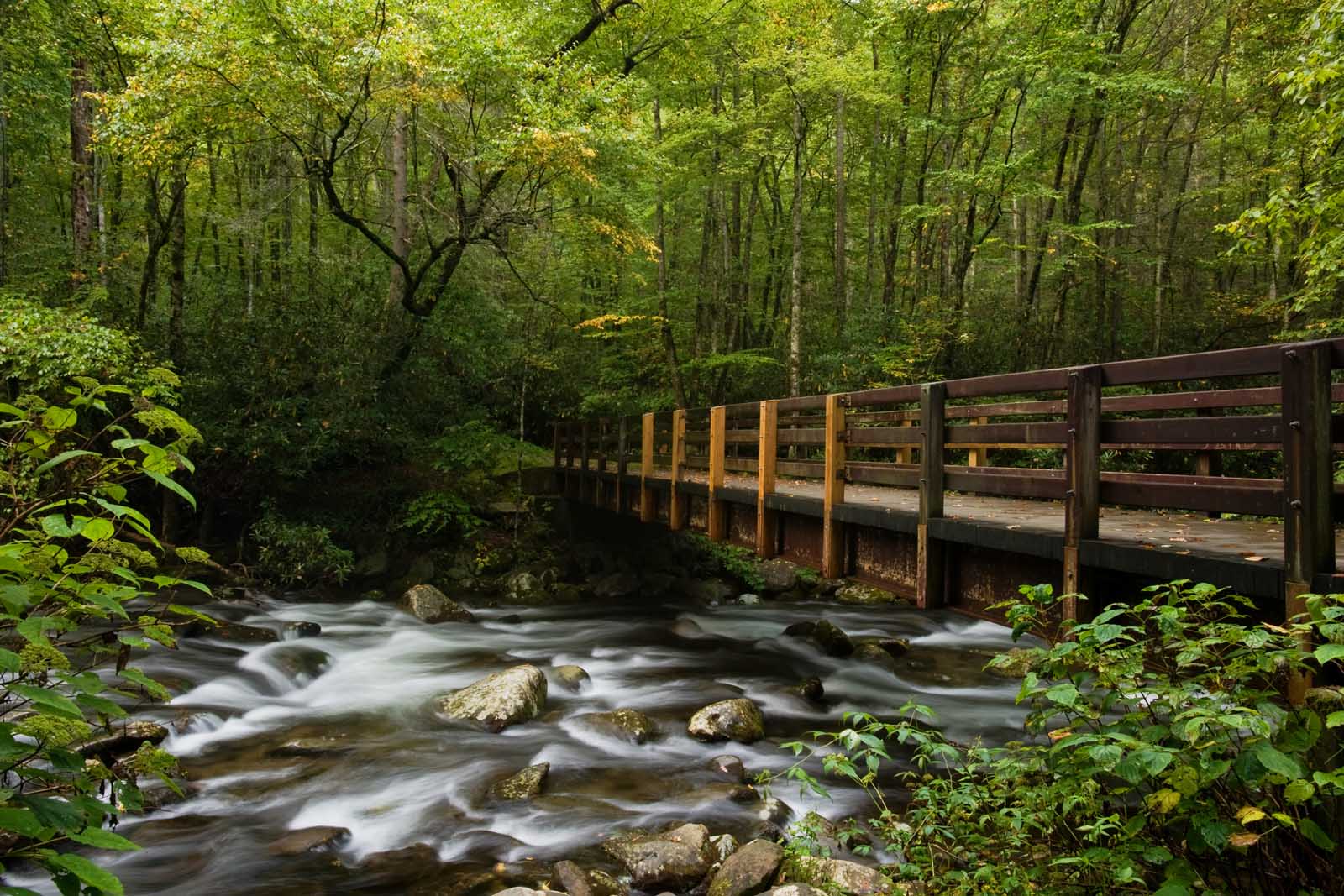 24 Best Hikes in the USA to Add to Your Bucket List