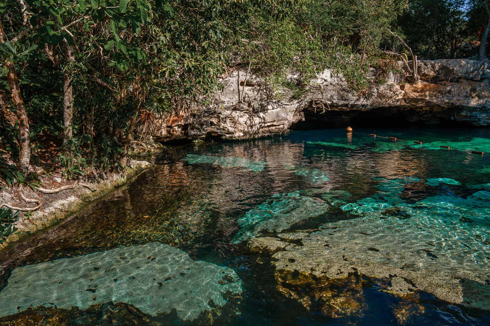 Top Cenotes in Mexico