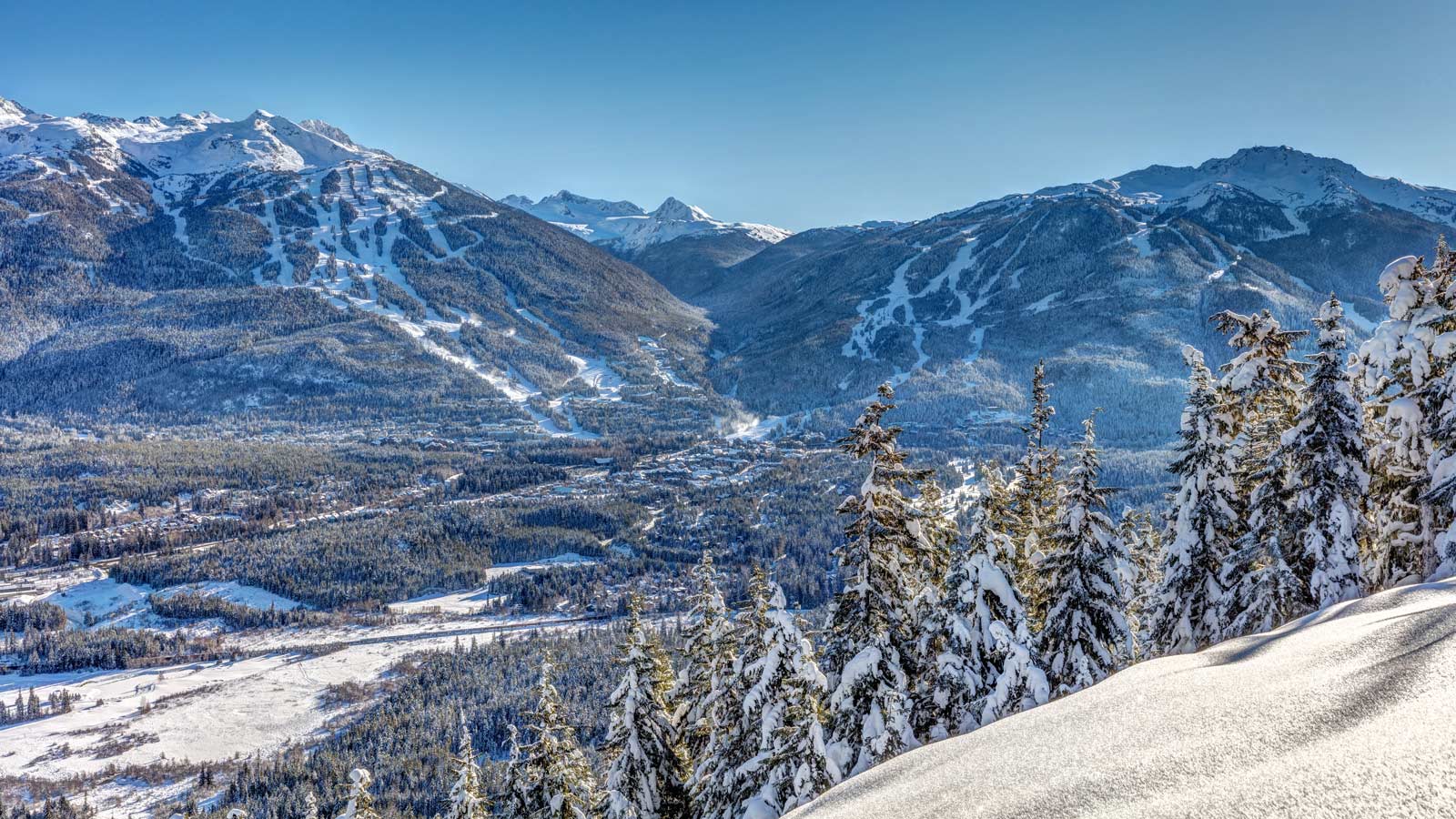 Top 15 Ski Resorts in Canada for Winter Fun The D