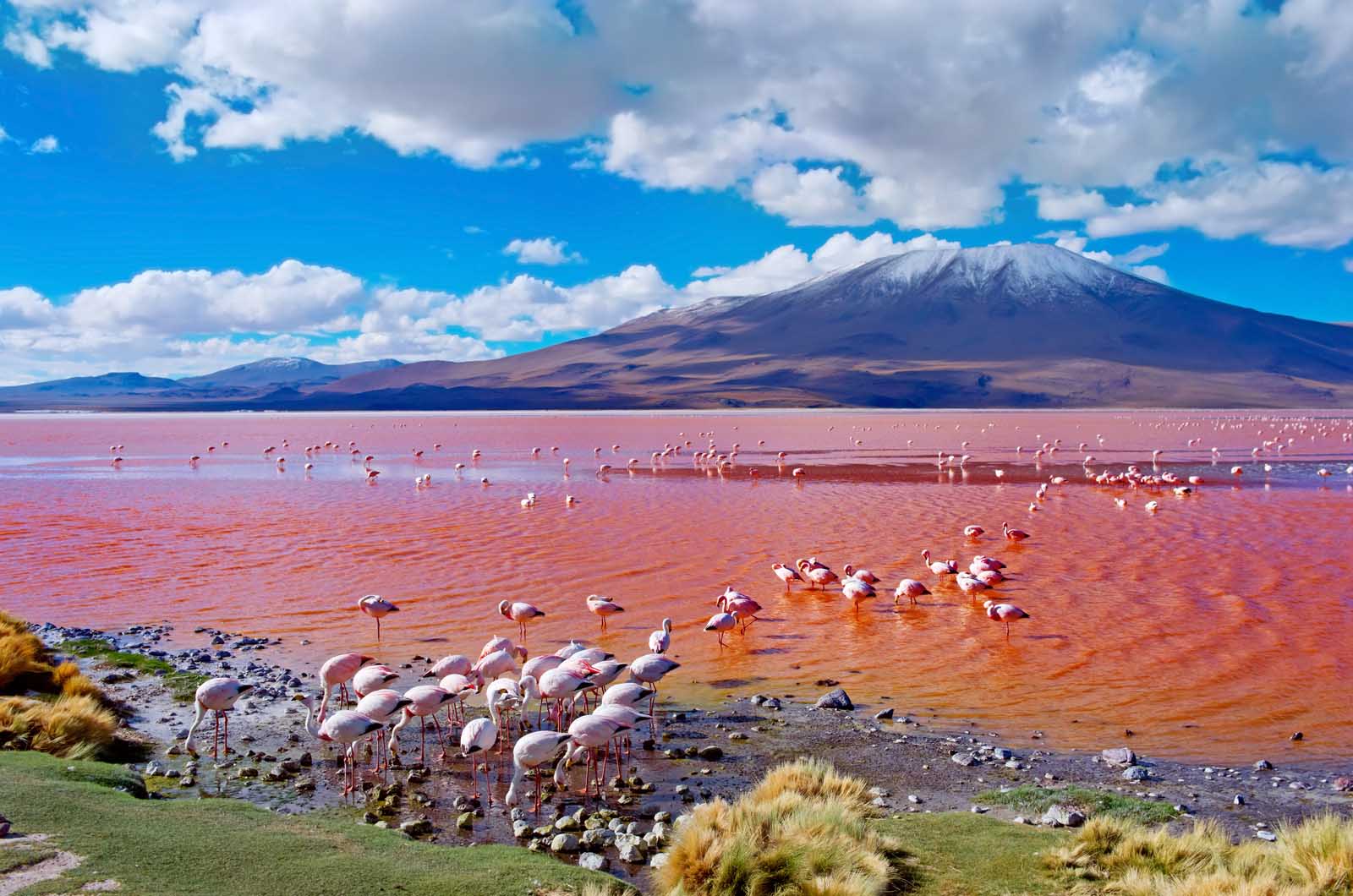 Top things to do in Bolivia
