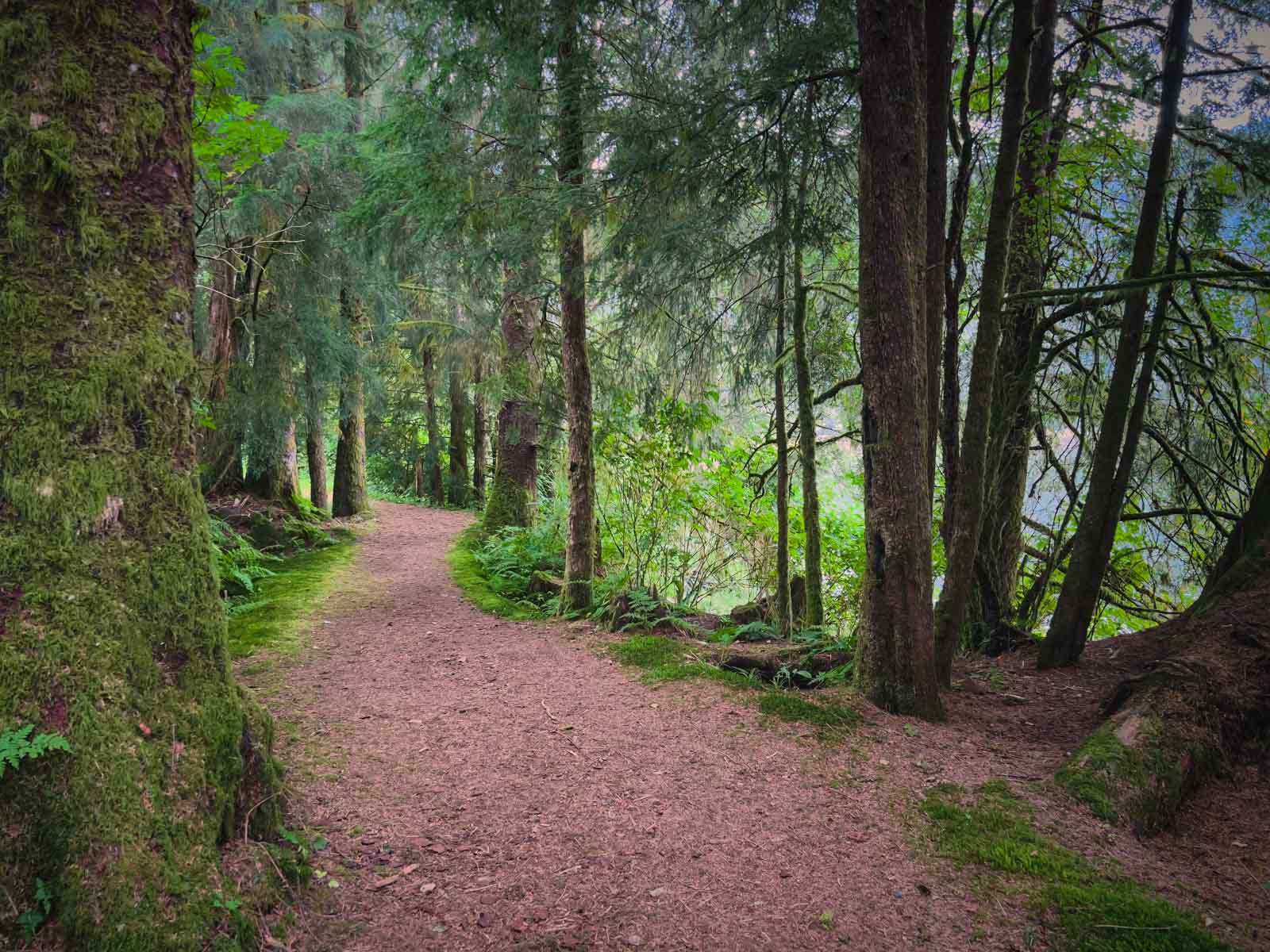 Things to do in Ketchikan Tongass National Forest