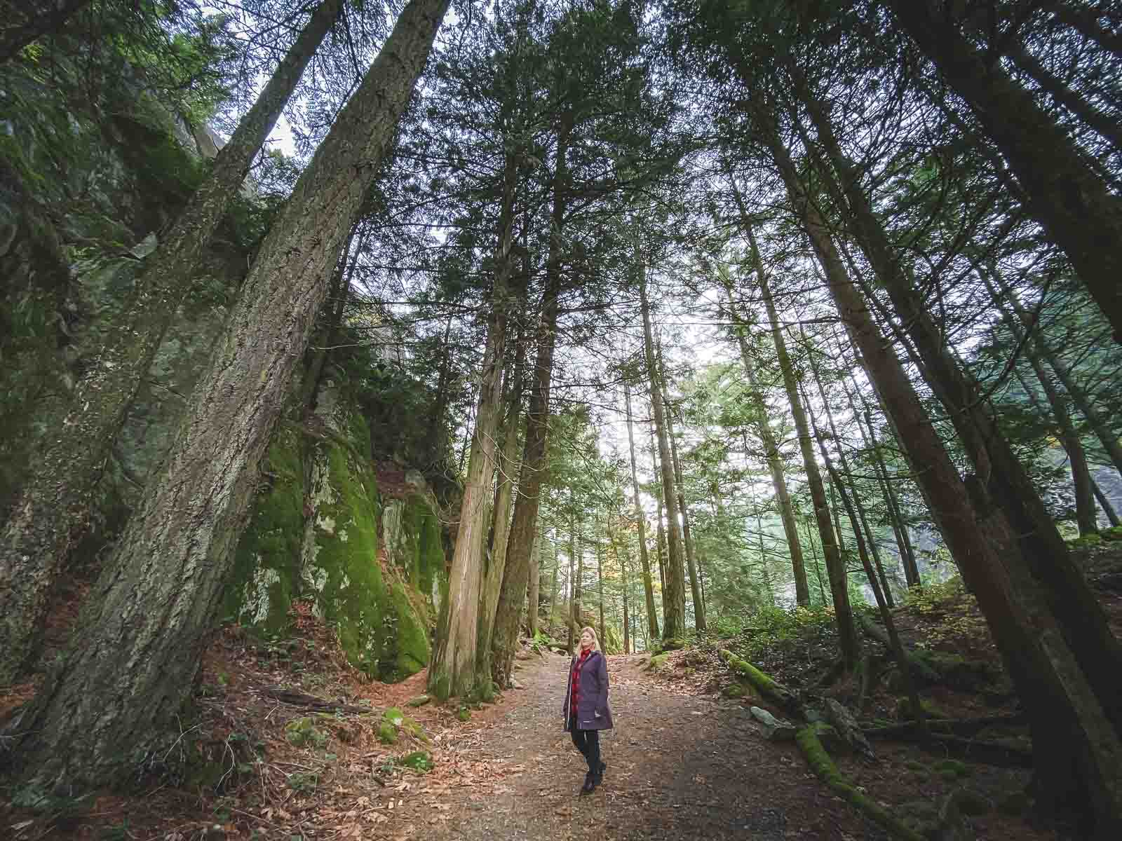 Top Vancouver Hikes