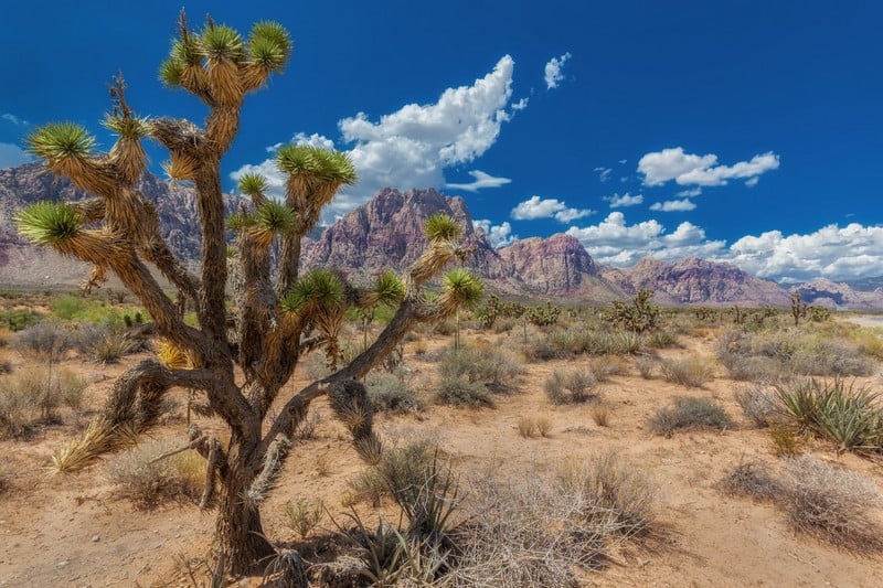 U.S. National Parks in Photos: From Yosemite to the Grand Canyon