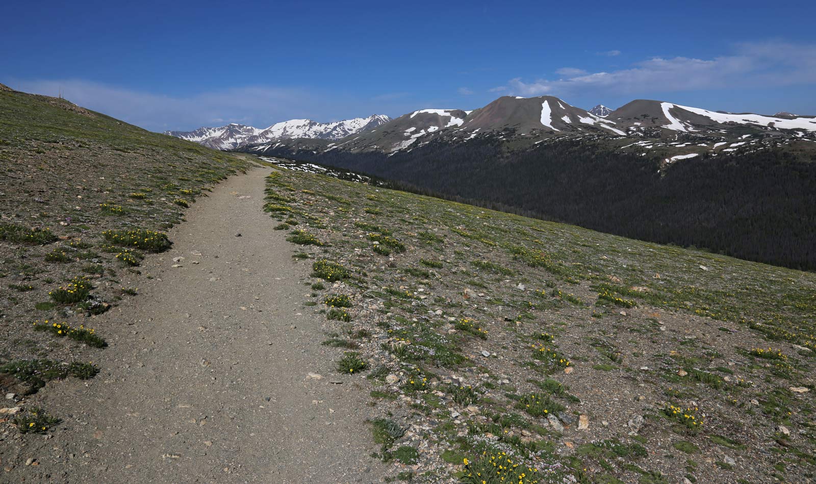 Ute Trailhead Rocky Mountain National Park Colorado