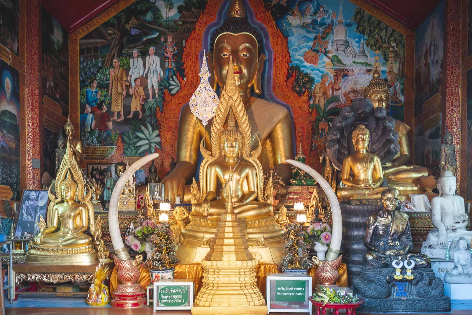 Chiang Mai Day Trip Doi Sithep Temple