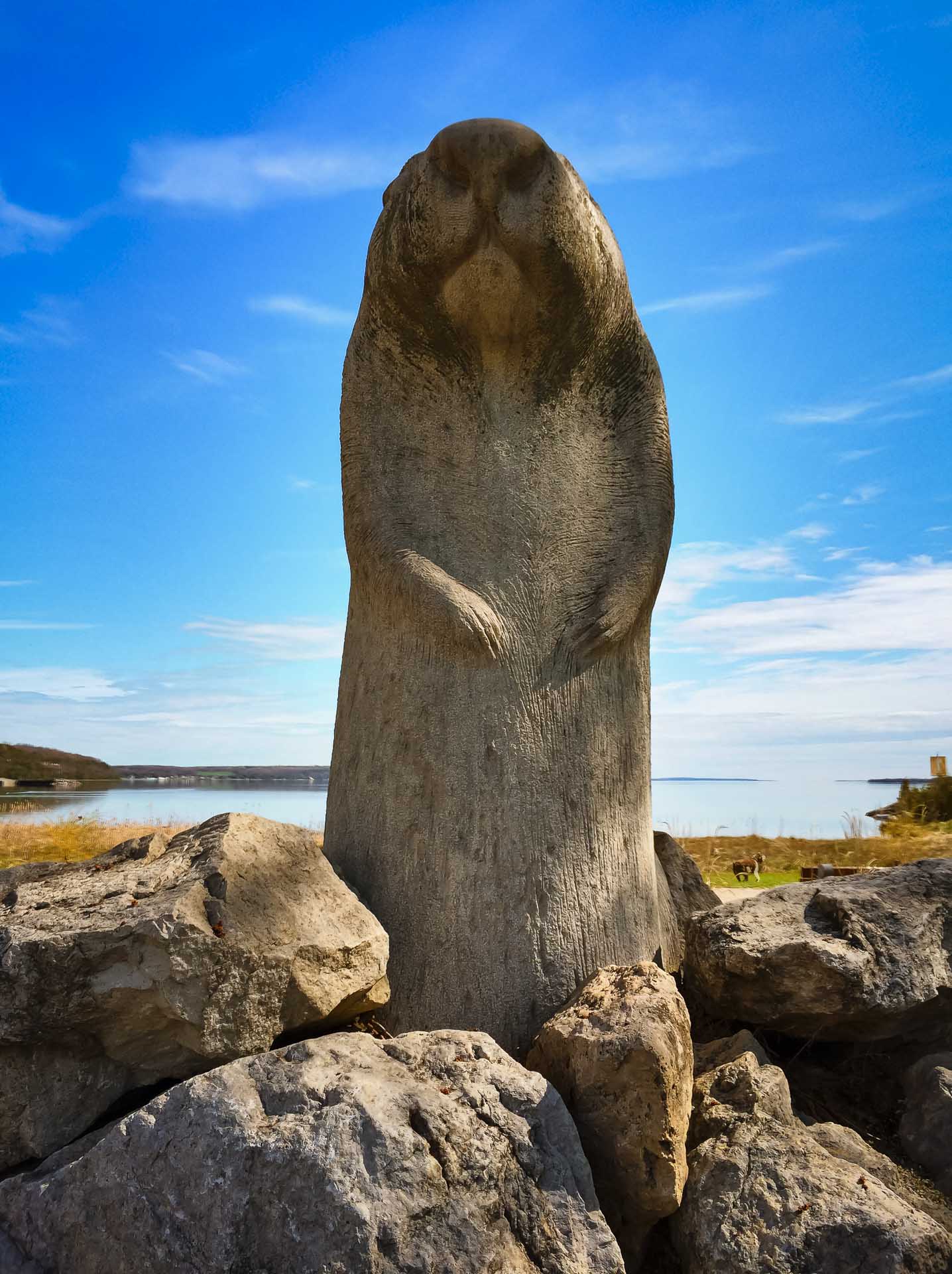 Grey County Wiarton Willy