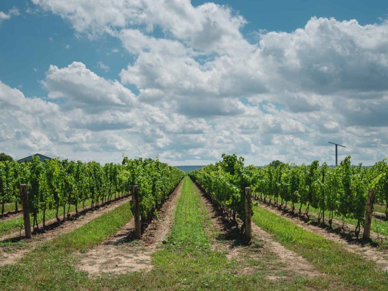 The Ultimate Guide To Prince Edward County, Ontario