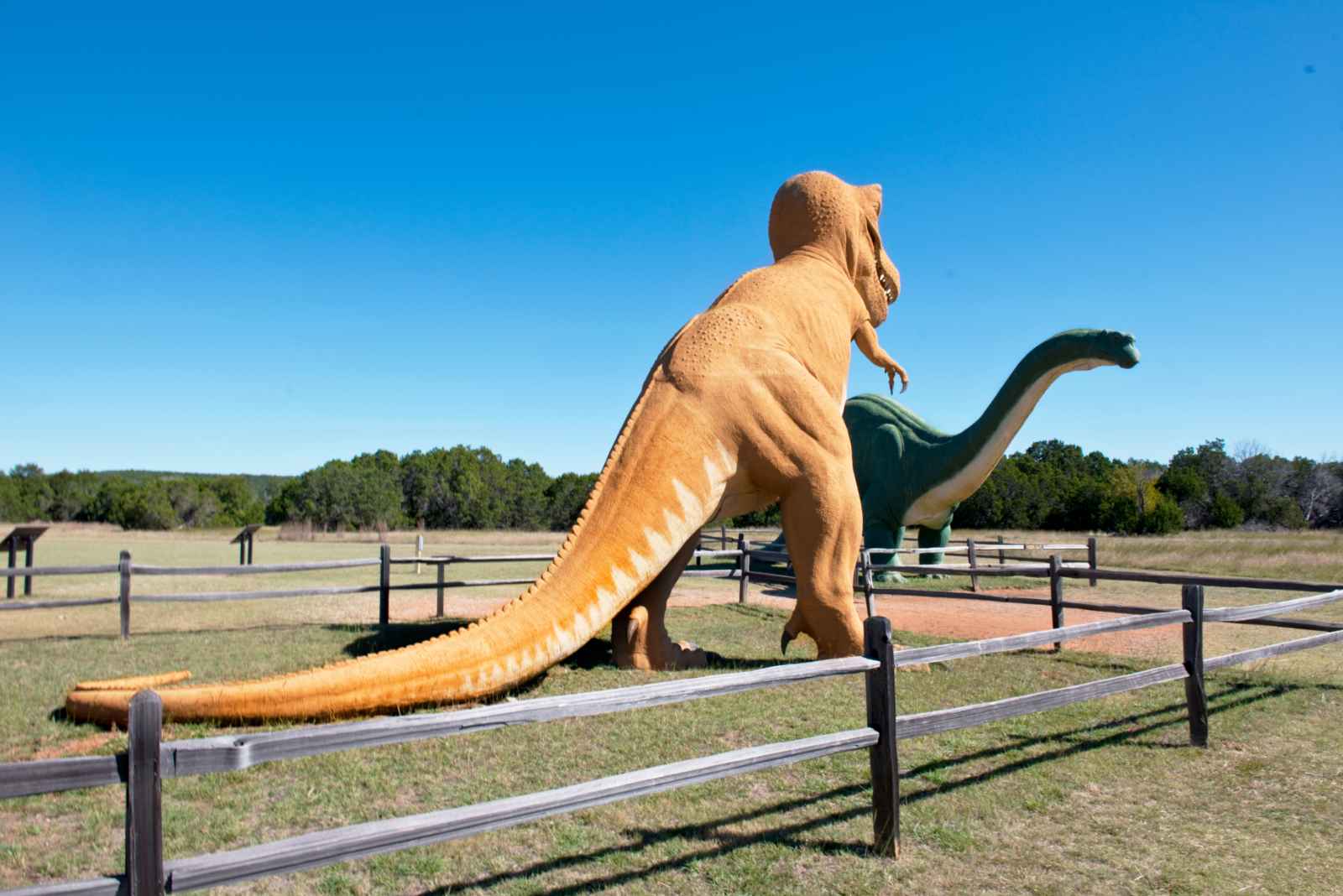 Weekend Getaways in Texas Dinosaur Valley State Park