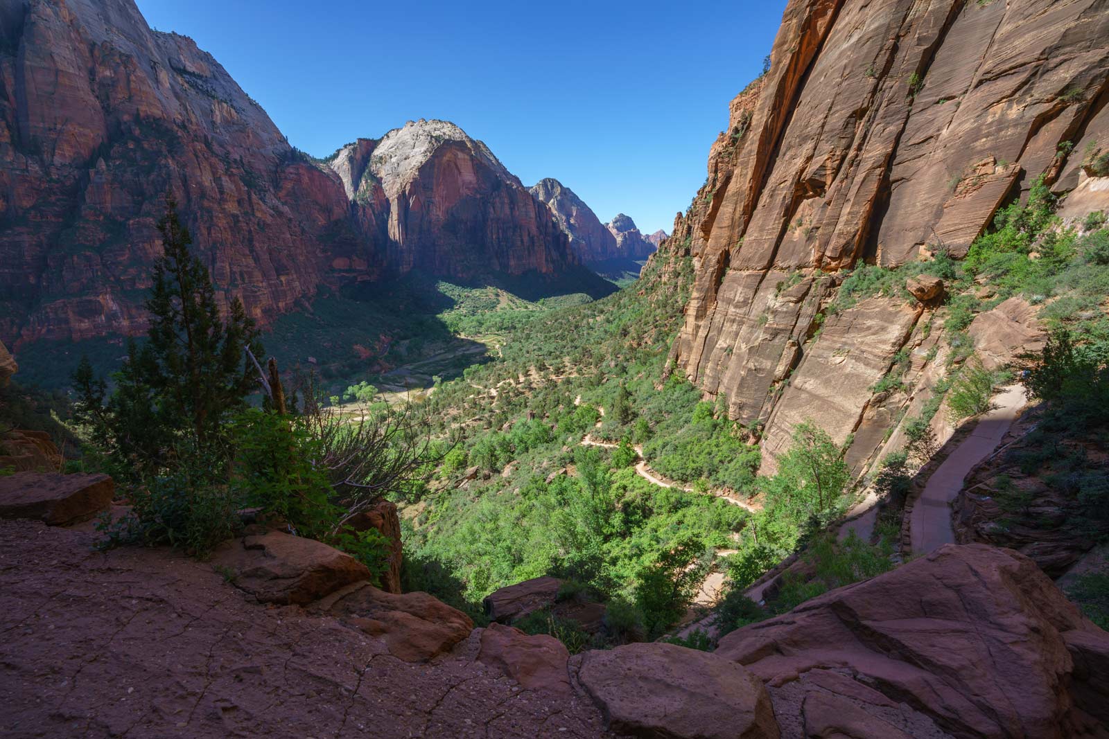 Views from the West Rim Trail in Zion National Park