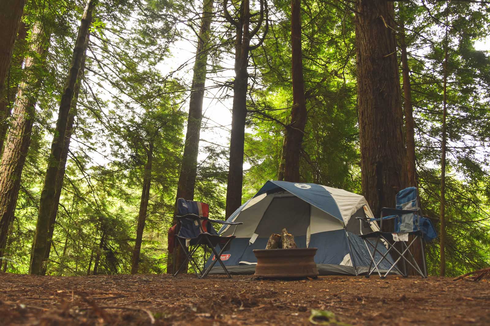 What to pack for Redwood National Park