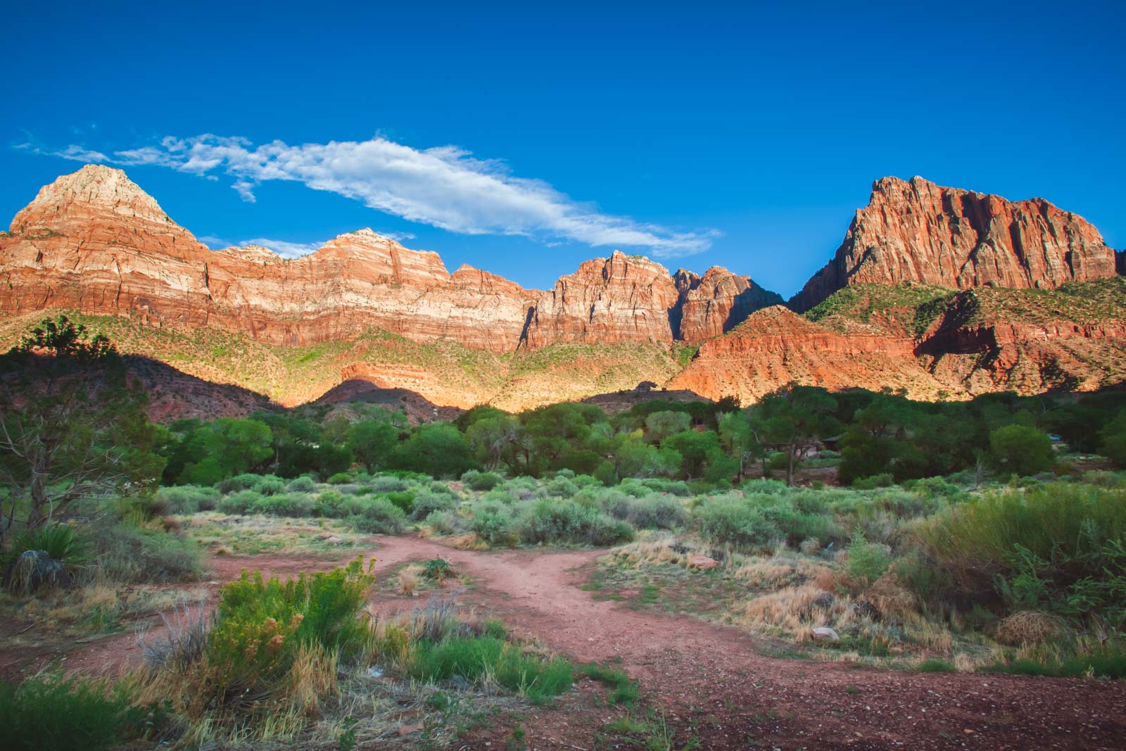 Where to Stay in Zion National Park – Your 2022 Guide