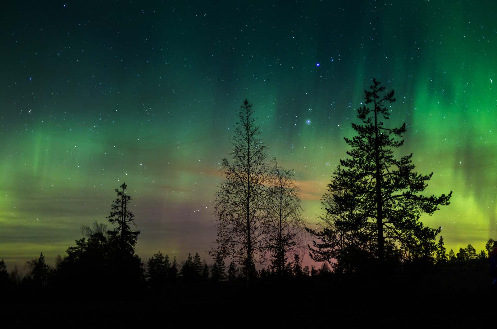 Where to see Aurora Borealis in Canada Newfoundland and Labrador