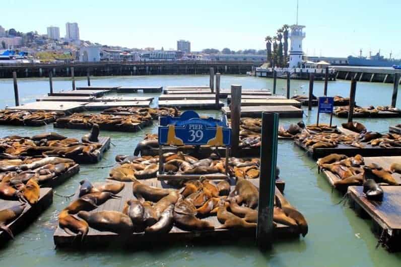 Where to stay in san francisco pier 39