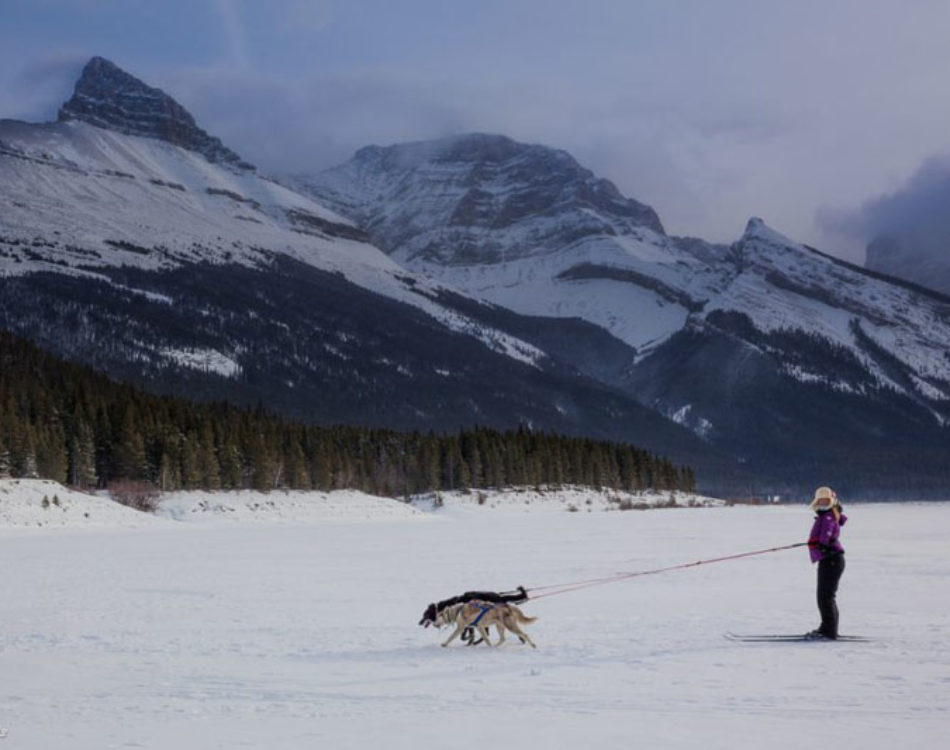 Ever Heard of Skijoring? Find Out All You Need to Know