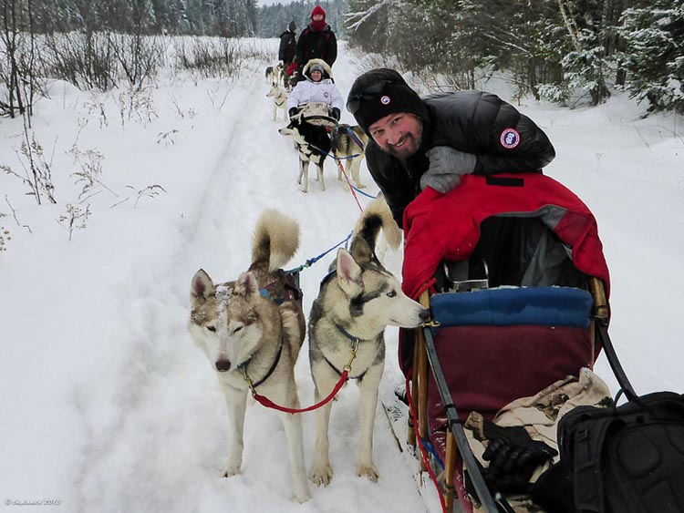 canada winter activities | dogsledding