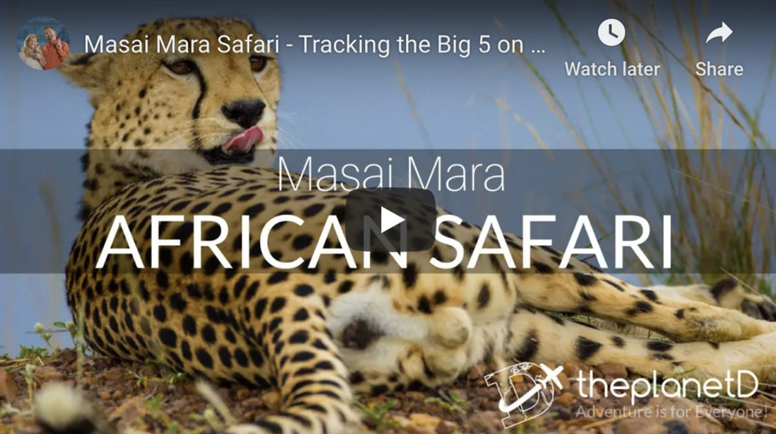 african safari video