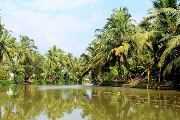 kerala alleppey houseboat views