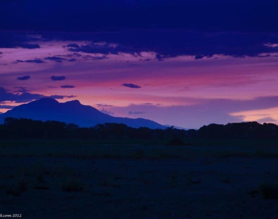 Amboseli National Park – Kenya’s Royal Court